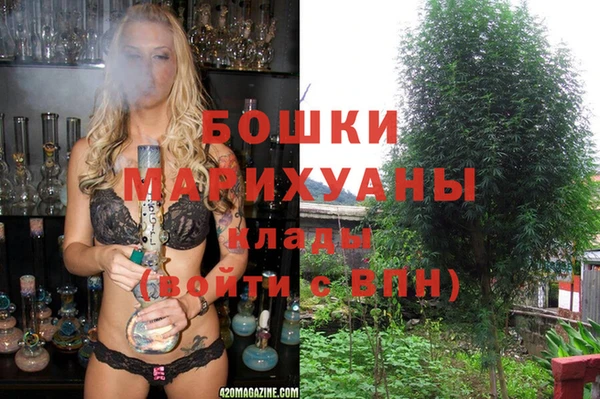 ешки Алагир