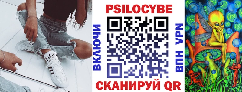 Псилоцибиновые грибы Psilocybine cubensis  Абаза 